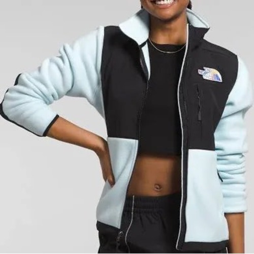 The North Face Denali 2 Polartec Fleece Jacket Blue Black Large Rainbow Logo